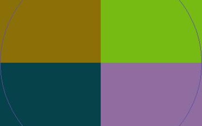 Camur importunus loquor luctus neque.